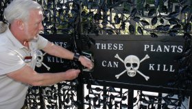 Alnwick, il giardino più pericoloso e mortale dell’Inghilterra