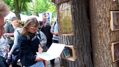 Bookcrossing a Berlino, gli alberi diventano biblioteche