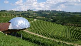 Le 10 cantine più belle da visitare in Italia