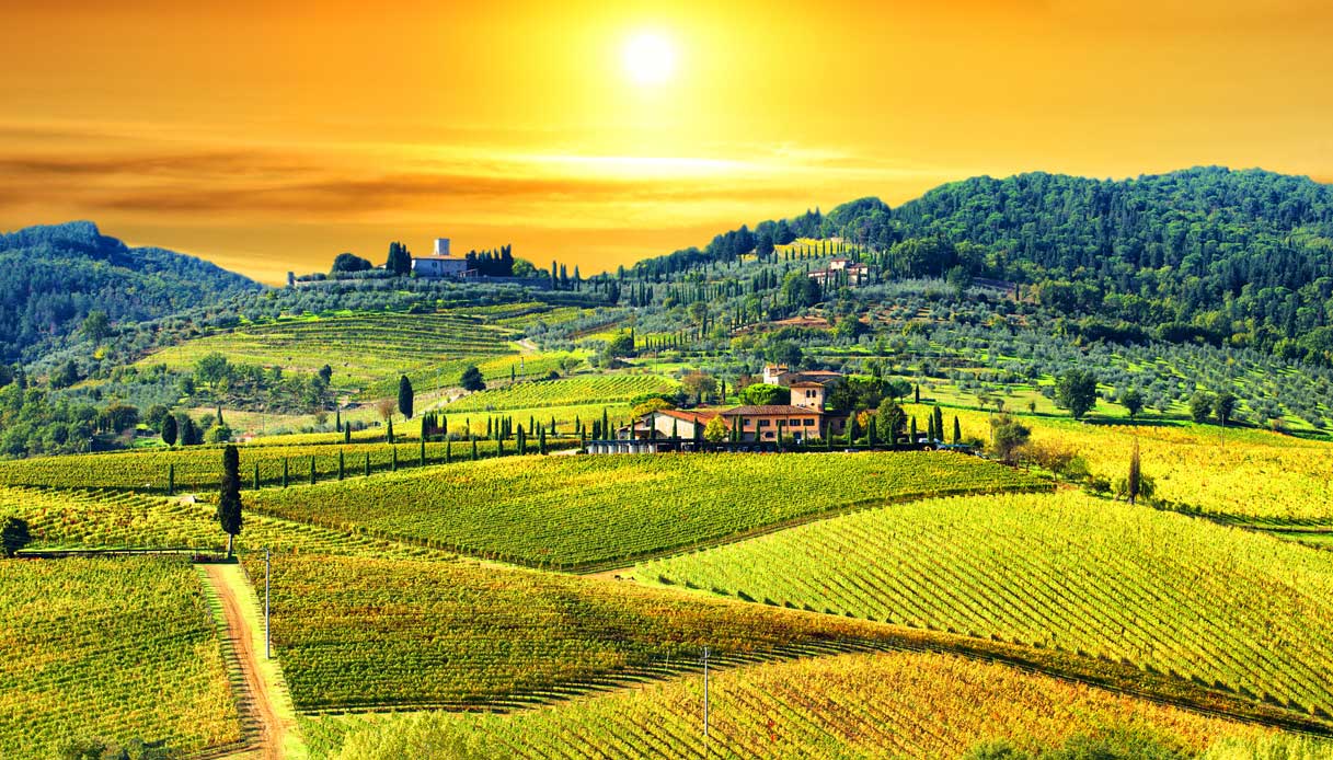 Camera con vigna: gli hotel più belli per l’autunno