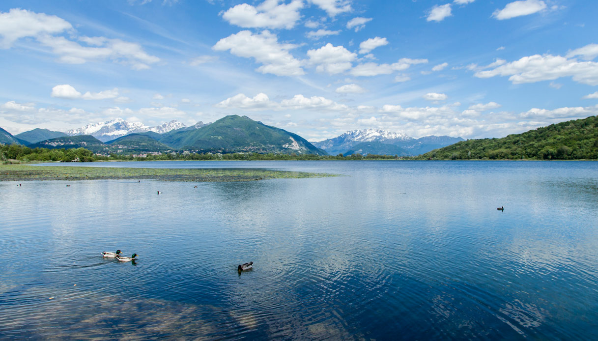 Lago Di Alserio Provincia Di Como