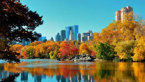 new-york-autunno-t