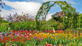 giverny-bicicletta-t