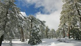 Escursioni e trekking a Cipro: natura, spiritualità e arte sui Monti Troodos