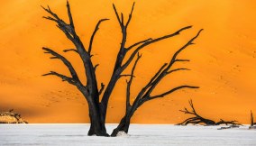 Valle della Morte in Namibia: il deserto che sembra un dipinto