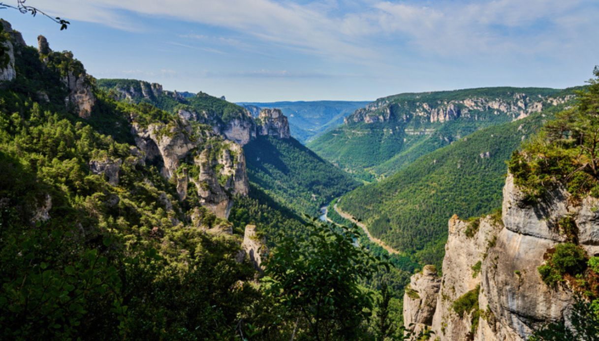 Vista dall'alto delle Gole du Tarn, nel parco nazionale delle Cevennes, immerso nella natura