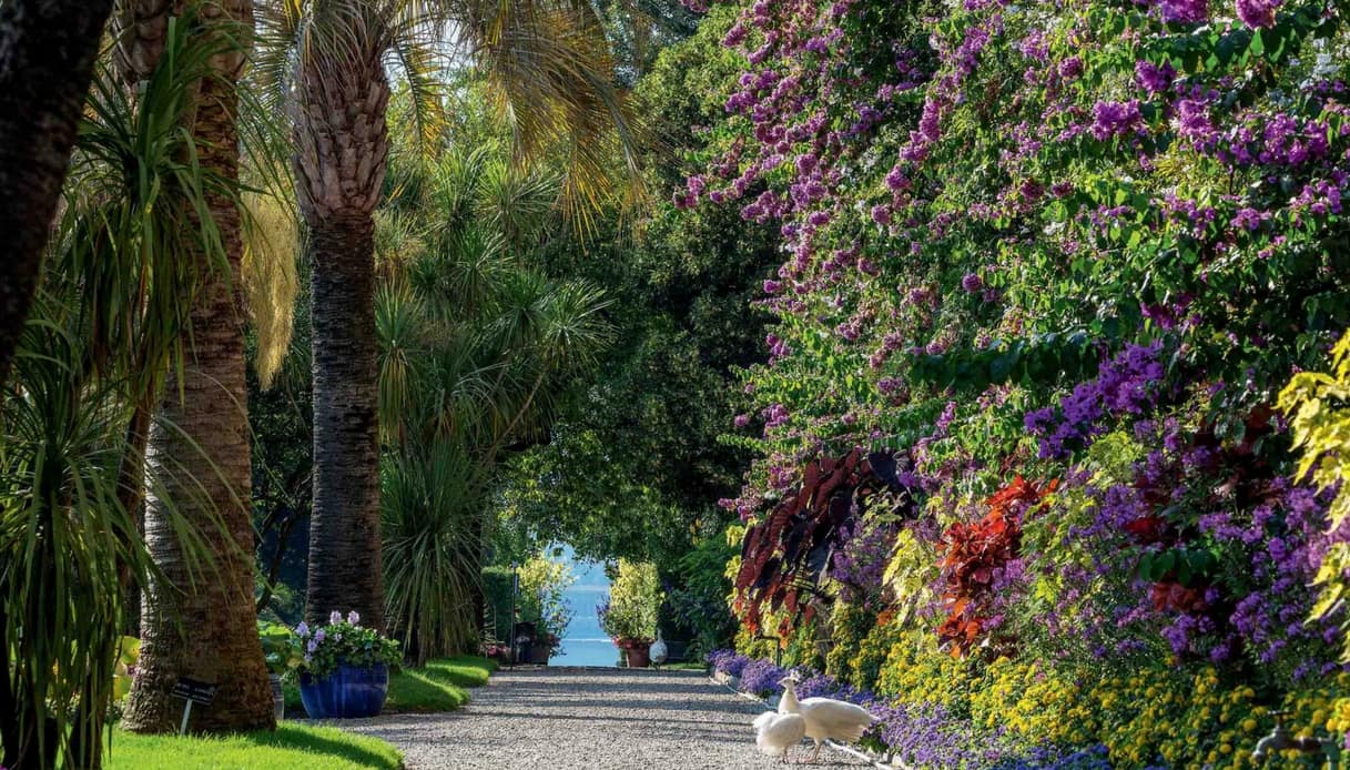 Sono Sulle Isole Borromee I Giardini Piu Belli D Italia Siviaggia