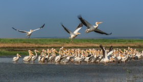 Cosa vedere a Costanza, natura e divertimento in Romania