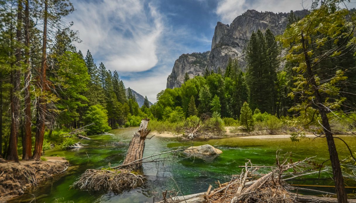 Sequoia National Park 5 Cose Da Vedere oltre Le Sequoie 