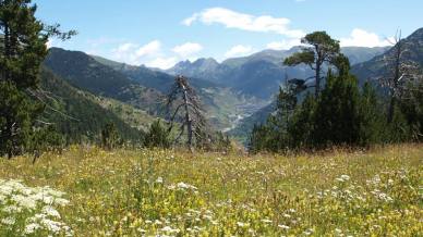 Cosa vedere ad Andorra La Vella e dintorni: montagne incantate