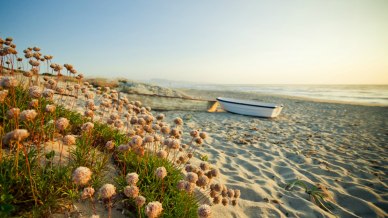 Cosa fare a Badesi, perla della Gallura: spiagge, colori, profumi
