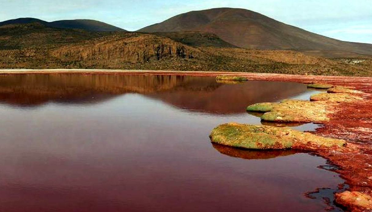 Laguna roja