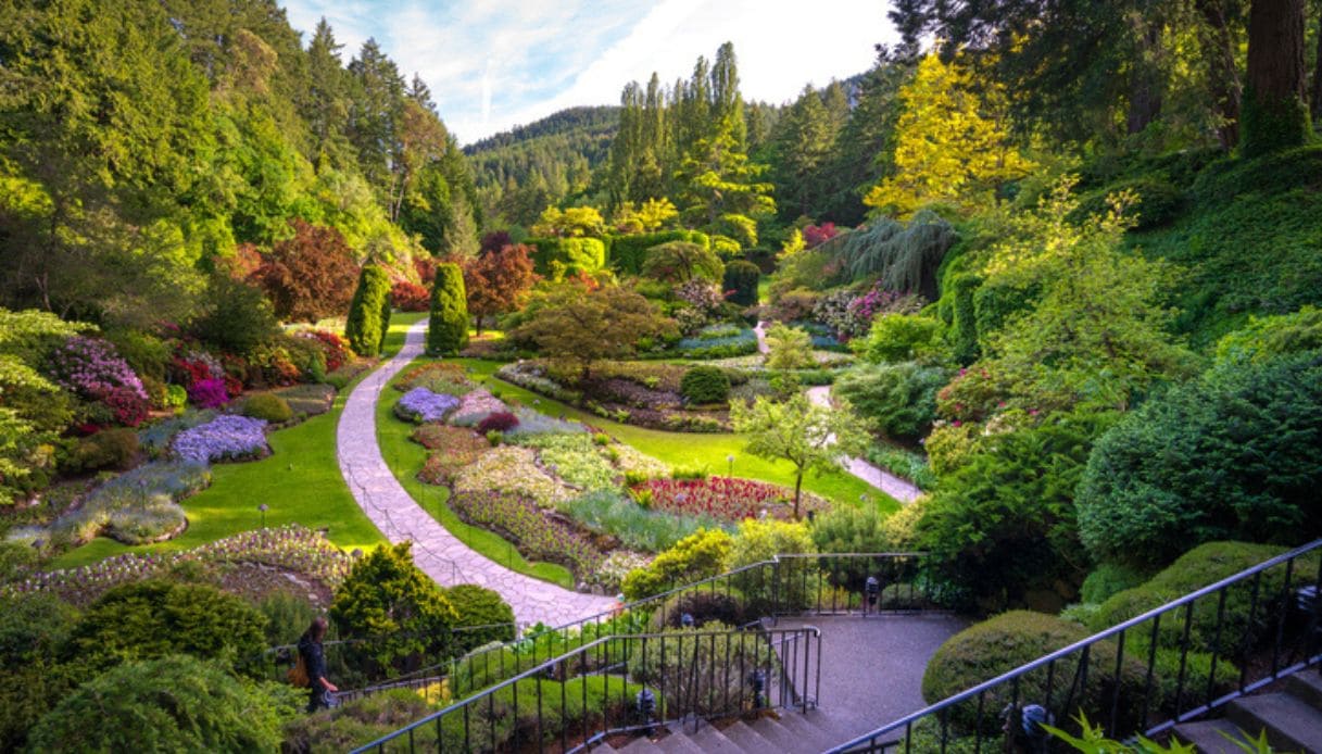 Giardini dei Butchart Gardens, una delle attrazioni da vedere a Victoria, città britannica della Columbia Occidentale, Canada