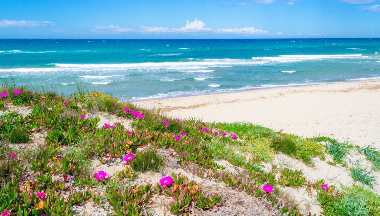 Spiaggia di Platamona a Marina di Sorso, con fiori e vegetazione sul lungomare sardo