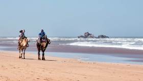 Cosa vedere a Essaouira, l’elegante città del Marocco