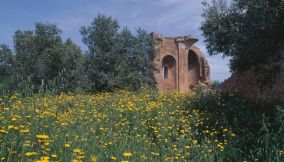 Resti Basilica Borgia