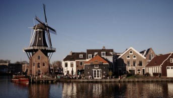 Un giorno ad Haarlem, in Olanda, borgo dei tulipani in fiore