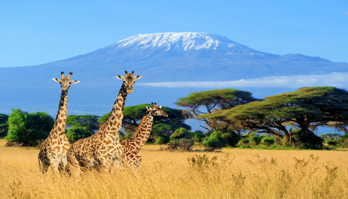safari kenya periodo migliore