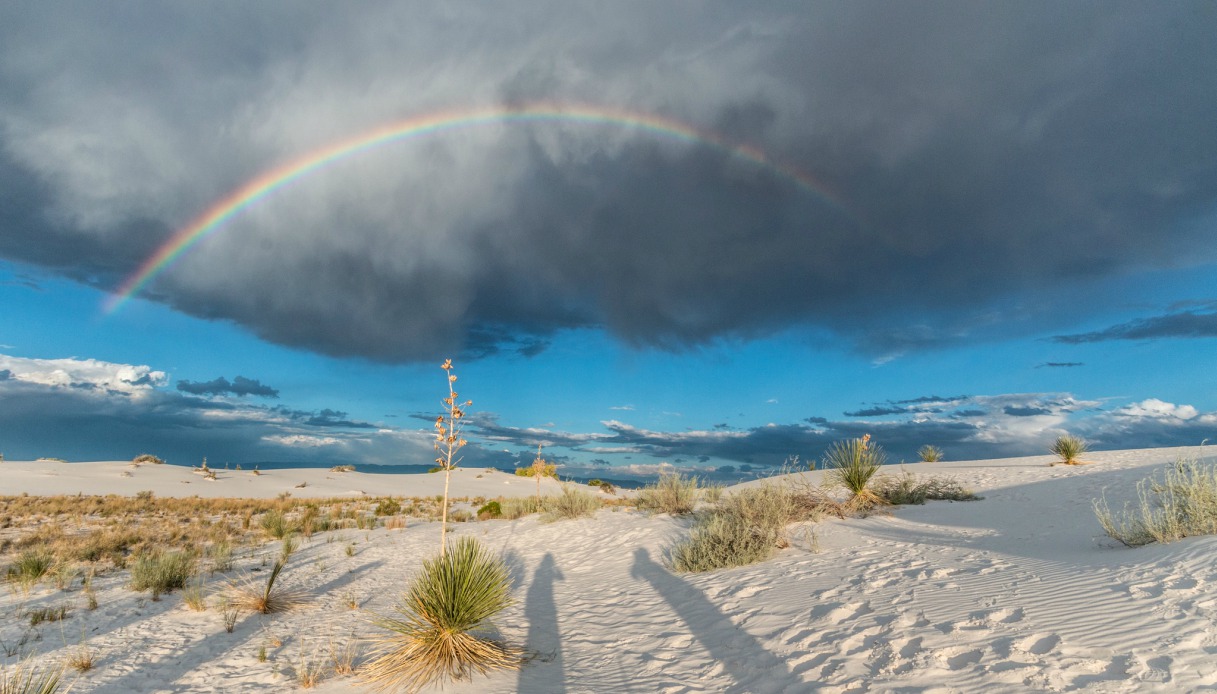 home health las cruces nm