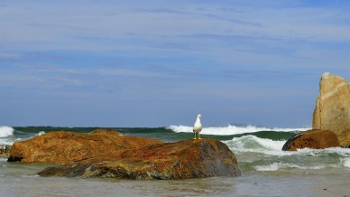 Vacanze al mare a Santa Catarina, le spiagge del Brasile del Sud