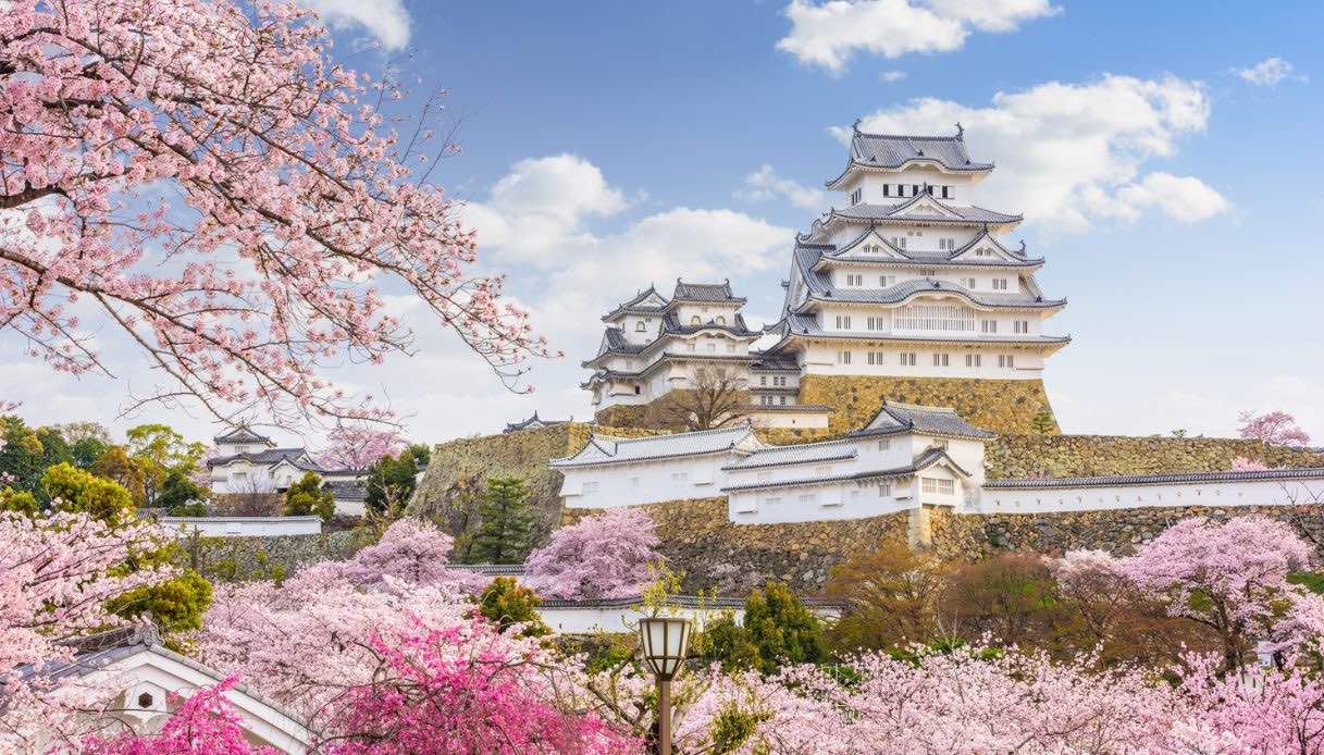 Primavera al castello Himeji, Giappone