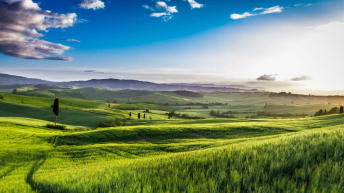 Agriturismo per celiaci: quali strutture scegliere in Italia