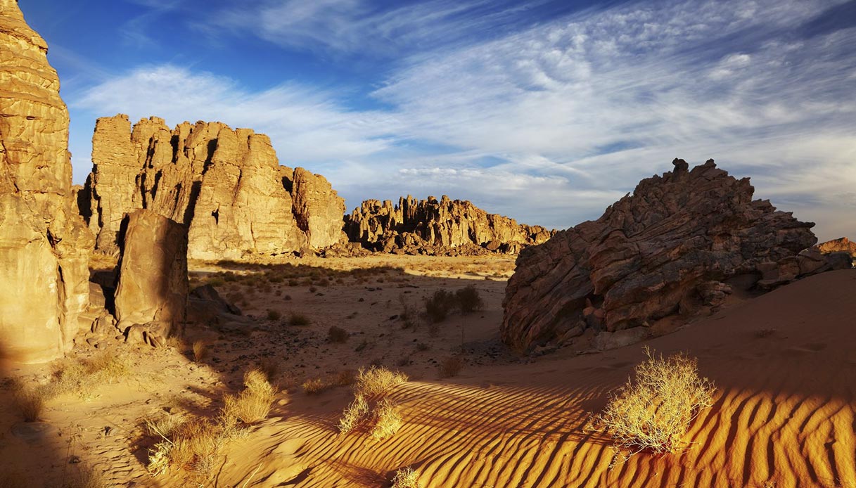 Perché Nel Deserto Ci Sono Pochi Esseri Viventi