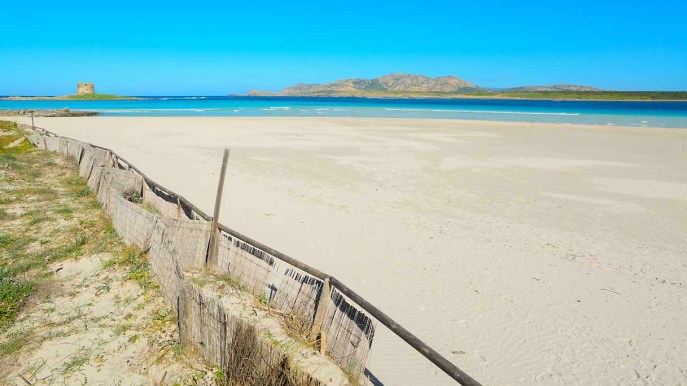 La Pelosa e le spiagge più belle della Sardegna a numero chiuso?