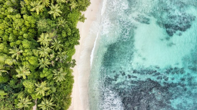 Seychelles: con l’aiuto di DiCaprio, nasce un’immensa riserva marina