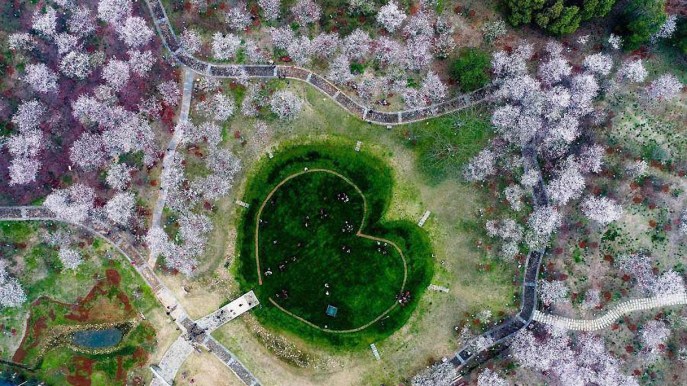 In Cina c’è un giardino a forma di cuore