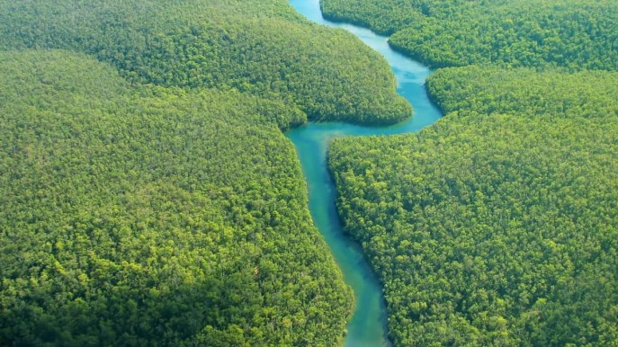 Nella Foresta Amazzonica sono stati scoperti 1000 villaggi prima sconosciuti