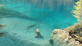 Blausee, il laghetto alpino dalle acque più azzurre che mai