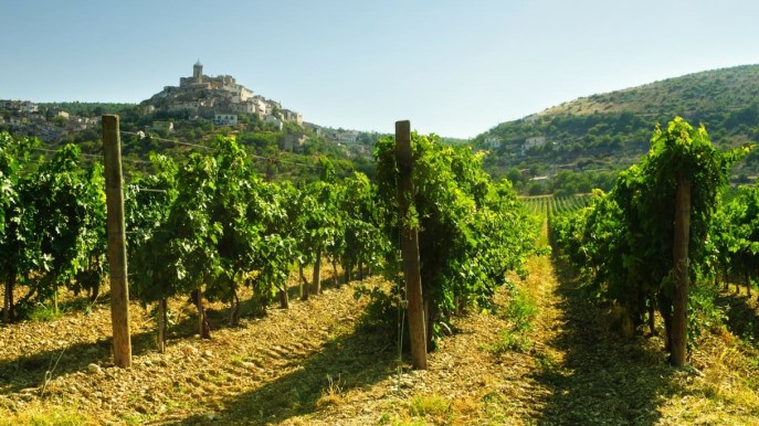 Itinerario enogastronomico nelle terre del vino Montepulciano d’Abruzzo