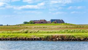 Hallig Hooge