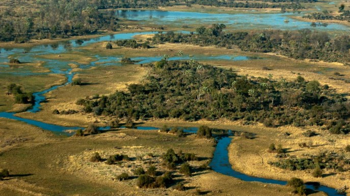 Alla scoperta del Botswana, tra avventura e meraviglie naturali