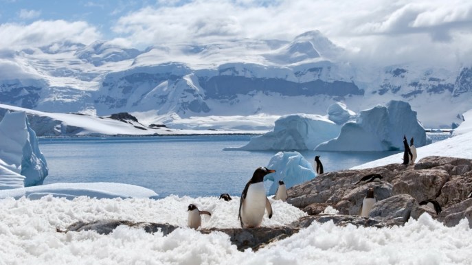 È stato scoperto un mondo nascosto sotto i ghiacci dell’Antartide