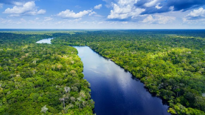 Dalla Amazzonia alla Foresta di Bambù, ecco le più belle foreste al mondo