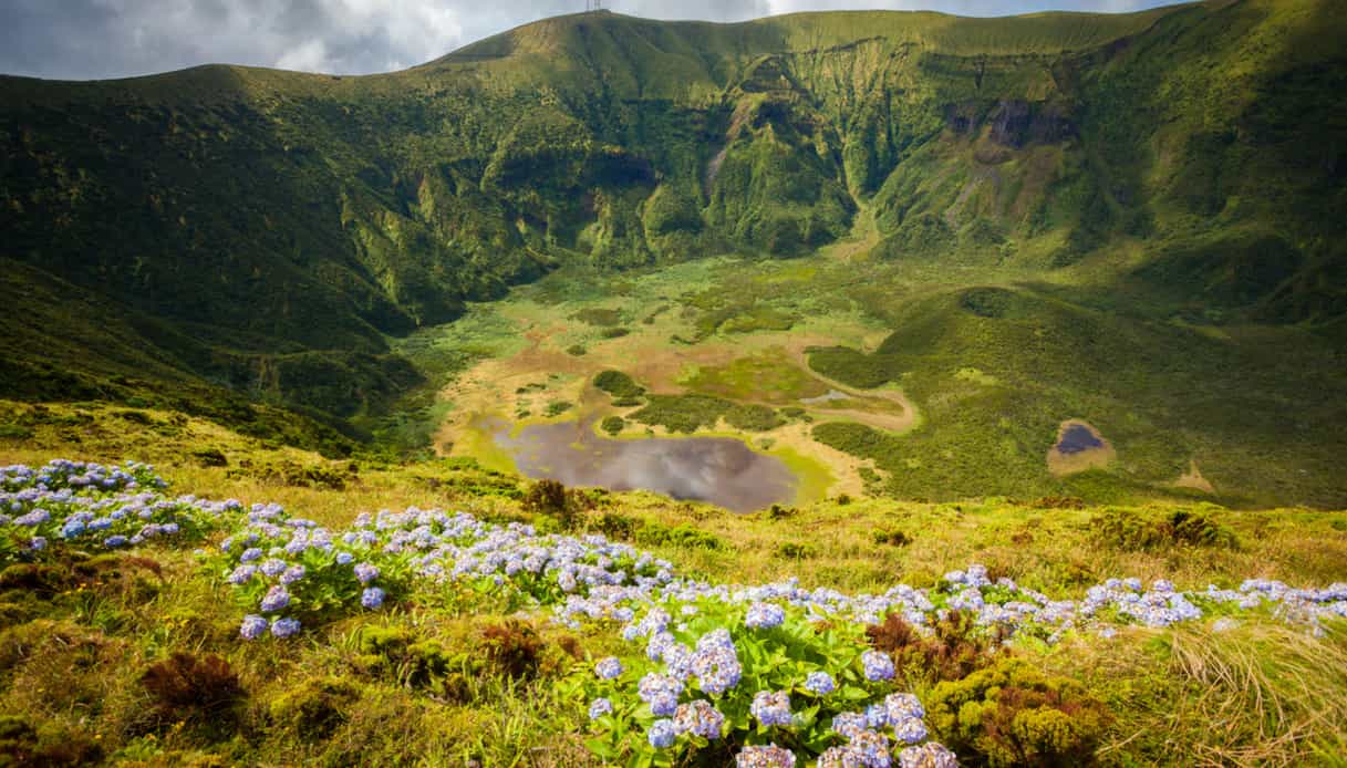 Isola di Faial: la Caldeira e le ortensie 