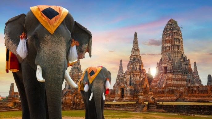 Viaggio alla scoperta dei santuari degli elefanti in Thailandia