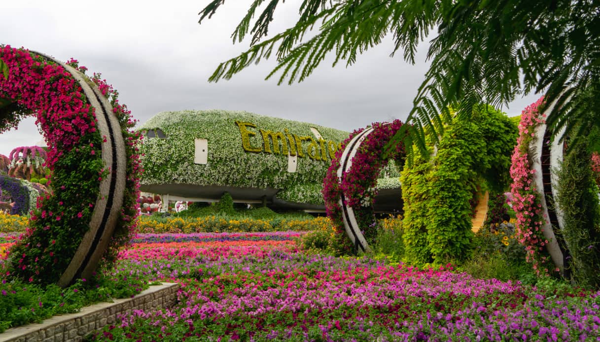 Aereo Emirates: attrazione Dubai Miracle Garden, il giardino a Dubai