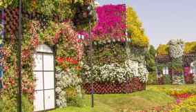 Dubai il giardino di fiori