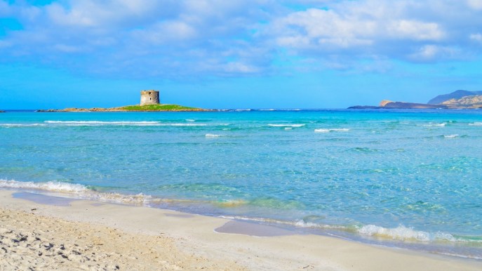 Sardegna, la spiaggia La Pelosa di Stintino diventa a pagamento