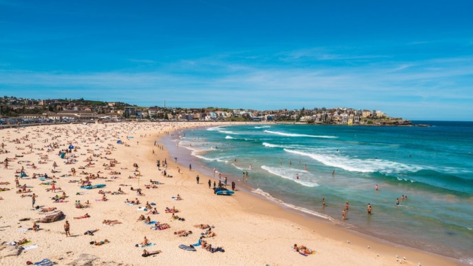 Australia: la celebre Bondi Beach potrebbe presto chiudere ai surfisti