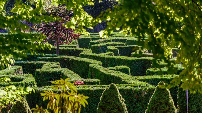 Labirinti d’Italia, i giardini in cui perdersi…