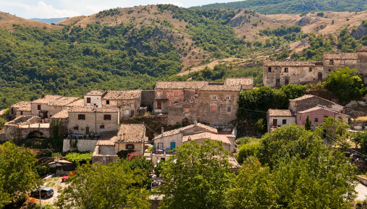 Bojano, nel Molise arra ricerca delle castagne