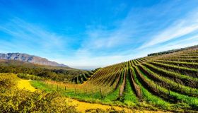 La chiamano Piccola Francia, ma il Franschhoek è in Sudafrica