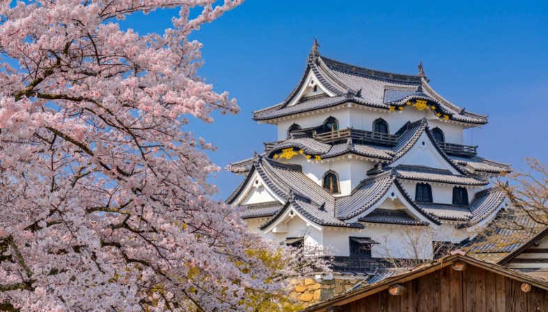11 luoghi imperdibili dove vedere la fioritura dei ciliegi in Giappone