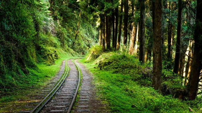 A Taiwan, c’è una ferrovia centenaria tra montagne e foreste