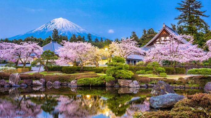 Magia in Giappone: i ciliegi fioriscono con 6 mesi d’anticipo