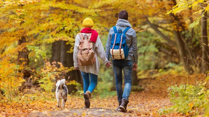 Le più belle passeggiate d’autunno, tra castagni e Törggelen